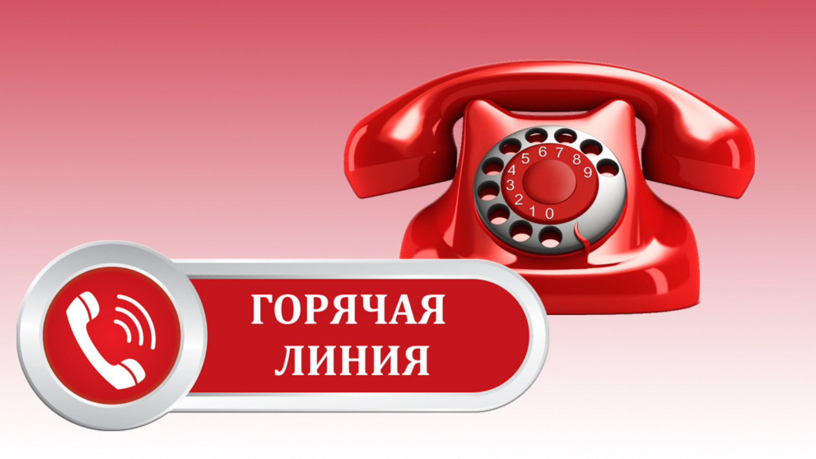 «Прокуратурой района организована «горячая линия» по вопросам защиты прав инвалидов.