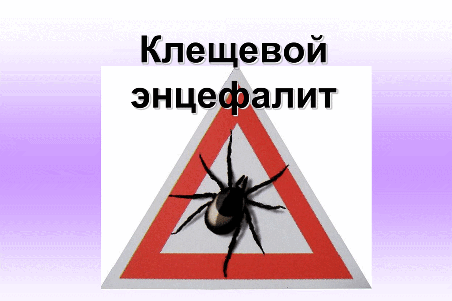 Вологодская область вошла в число регионов-лидеров  по объемам вакцинации от клещевого энцефалита.