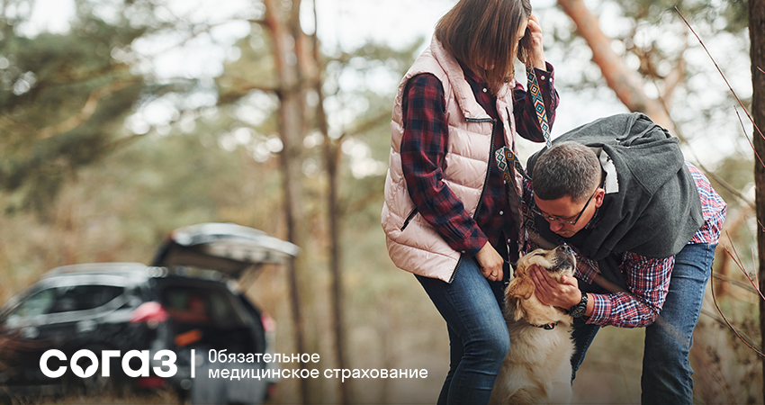 Профилактика вирусных гепатитов.