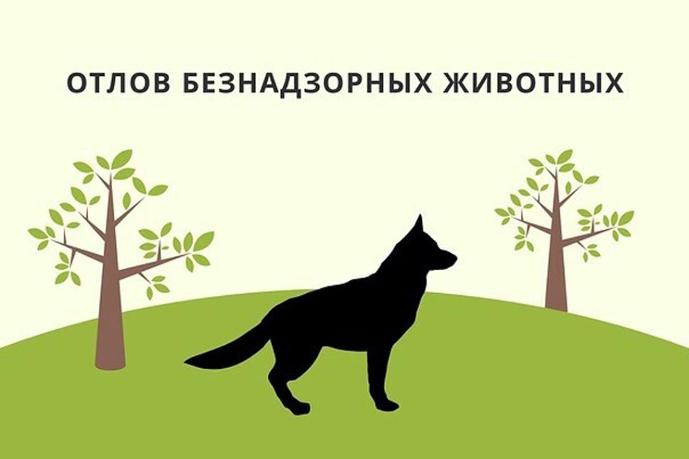 ОБЪЯВЛЕНИЕ.