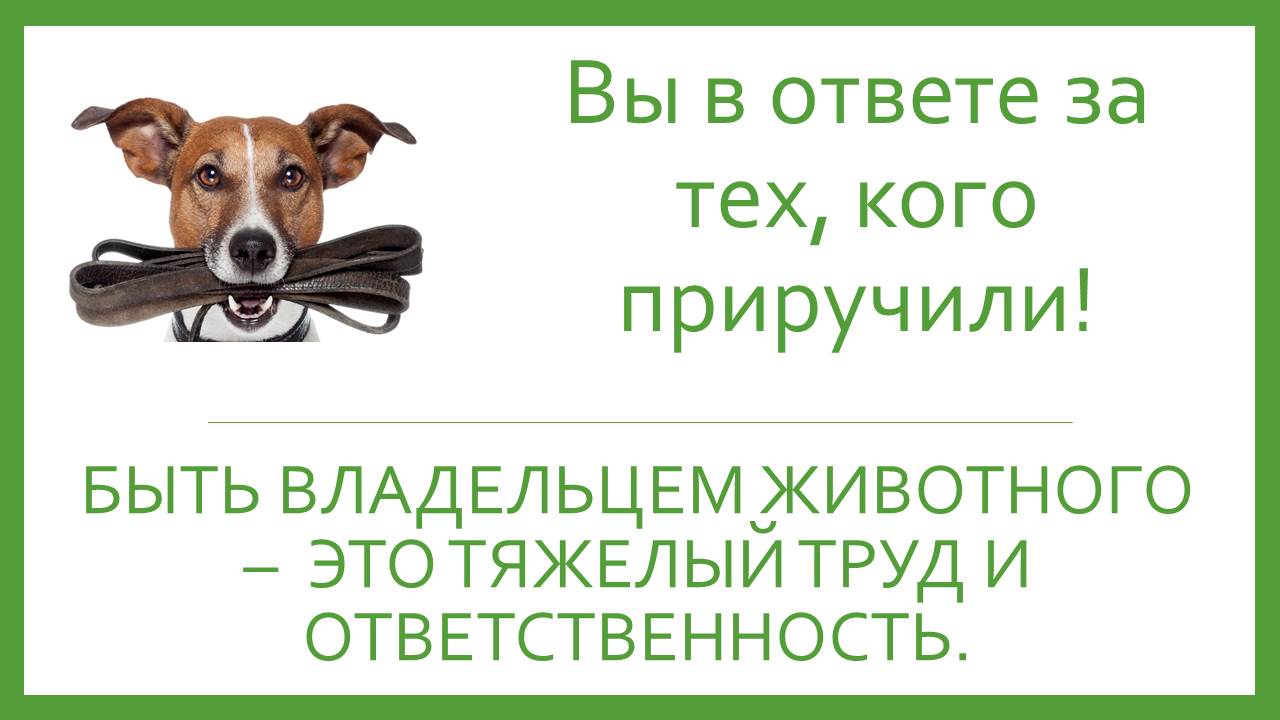 ВАЖНАЯ ИНФОРМАЦИЯ!.
