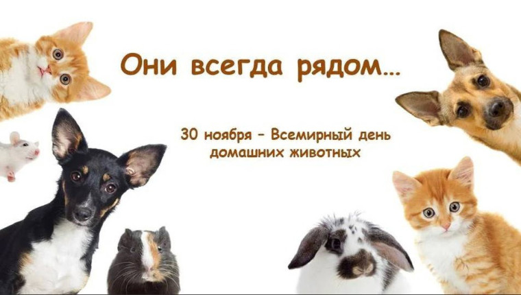 30 ноября - всемирный день домашних животных. 30 ноября - всемирный день домашних животных.
