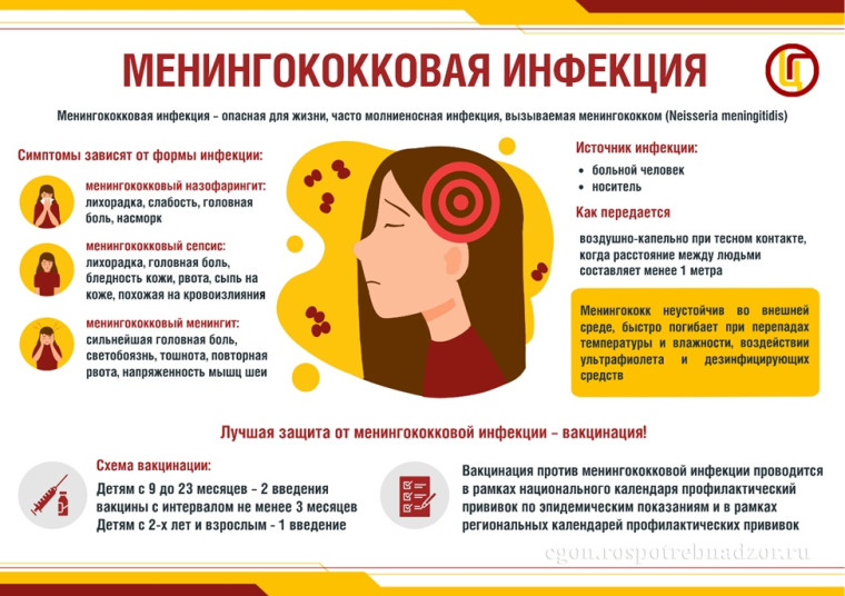«24 апреля – Всемирный день борьбы с менингитом». «24 апреля – Всемирный день борьбы с менингитом».