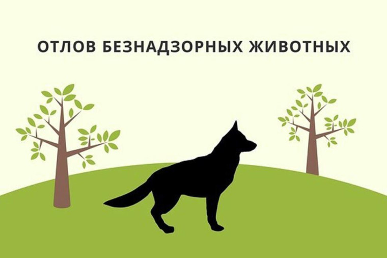 ОБЪЯВЛЕНИЕ. ОБЪЯВЛЕНИЕ.