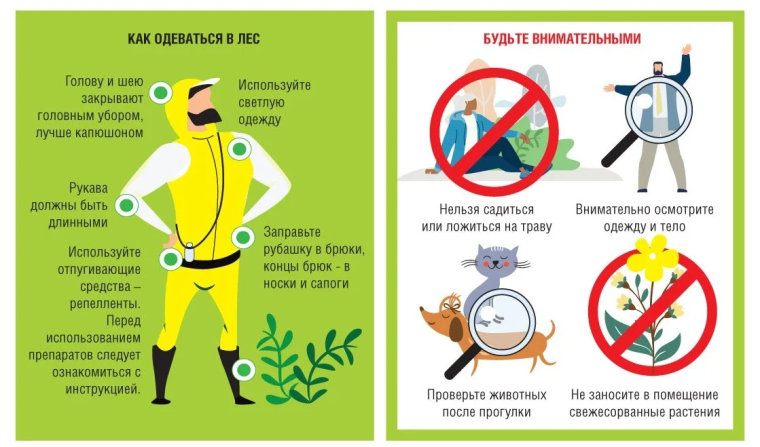 Меры профилактики вирусного клещевого энцефалита (КВЭ). Меры профилактики вирусного клещевого энцефалита (КВЭ).